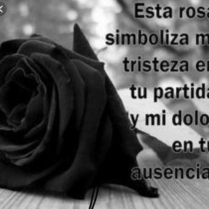 Meet your Posher, Eli